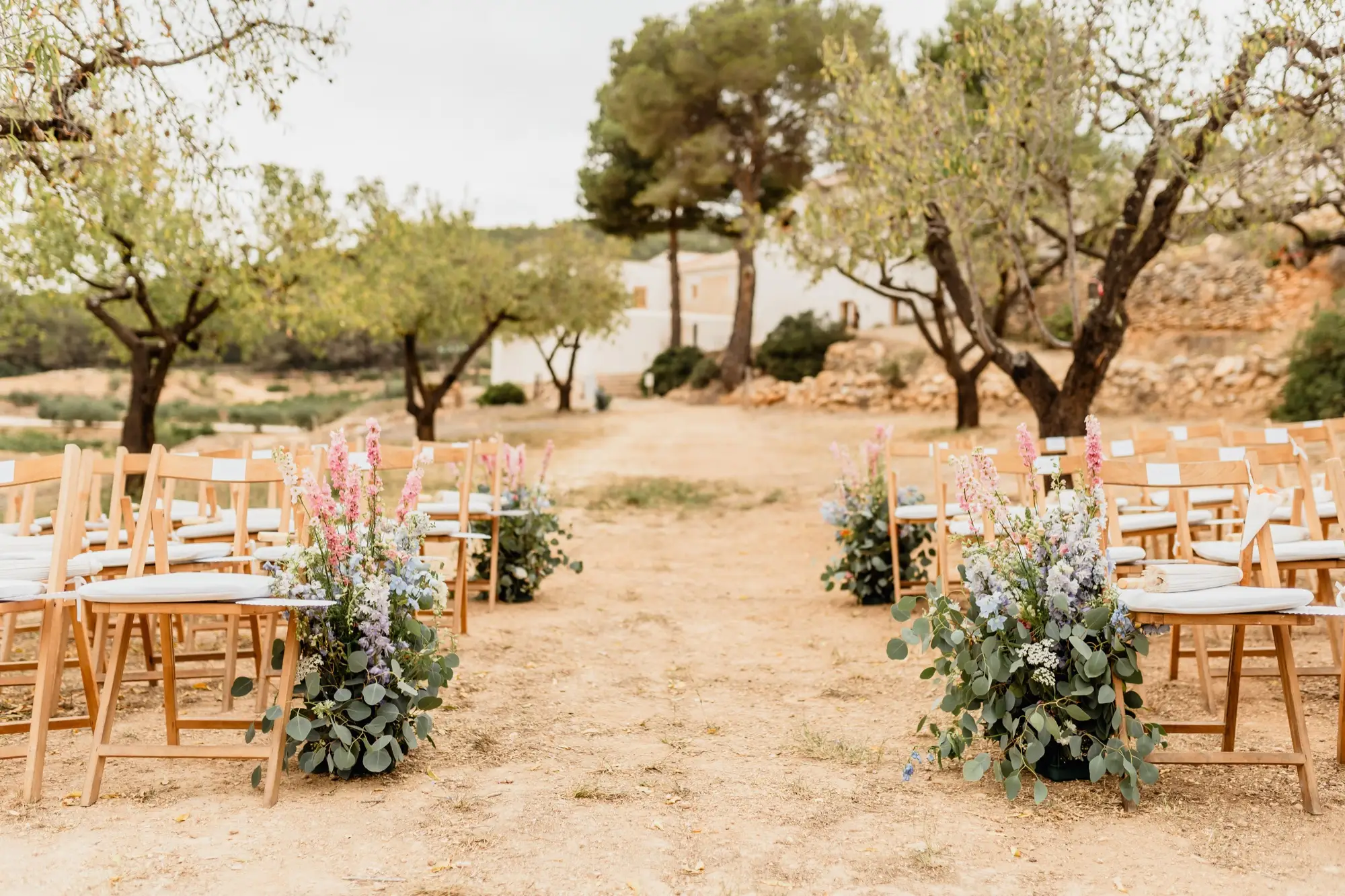 The almond grove