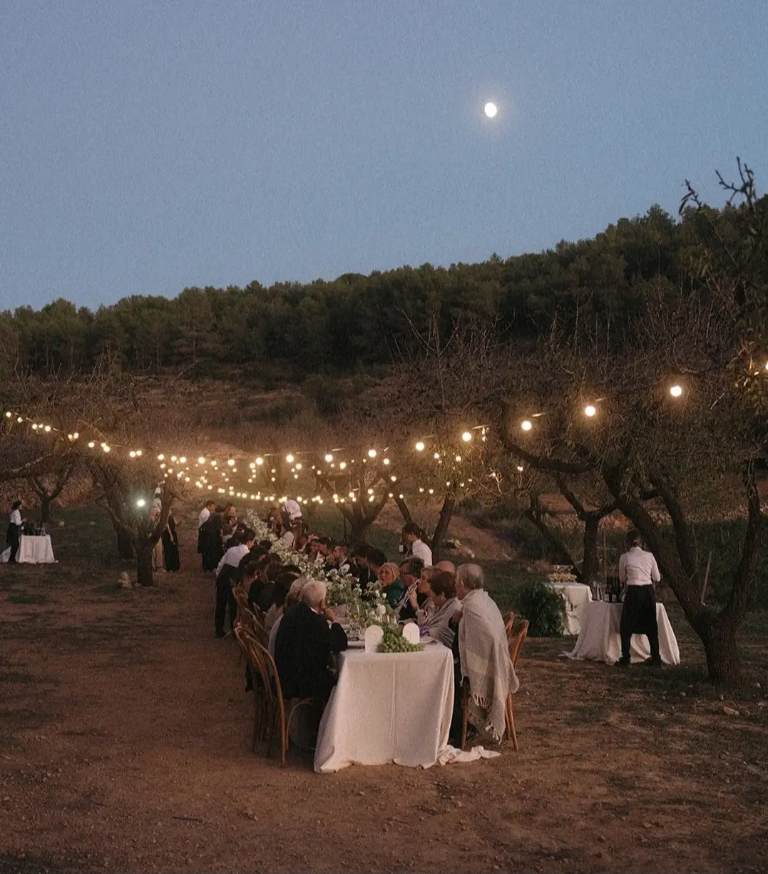 Dinner under the lights