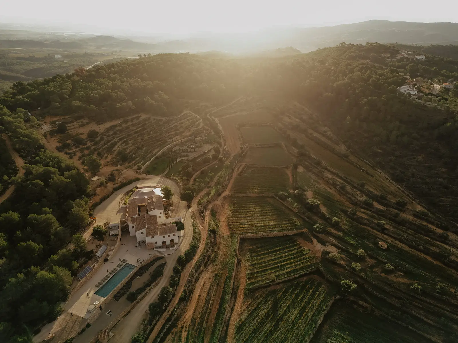 The wine valley in low sun